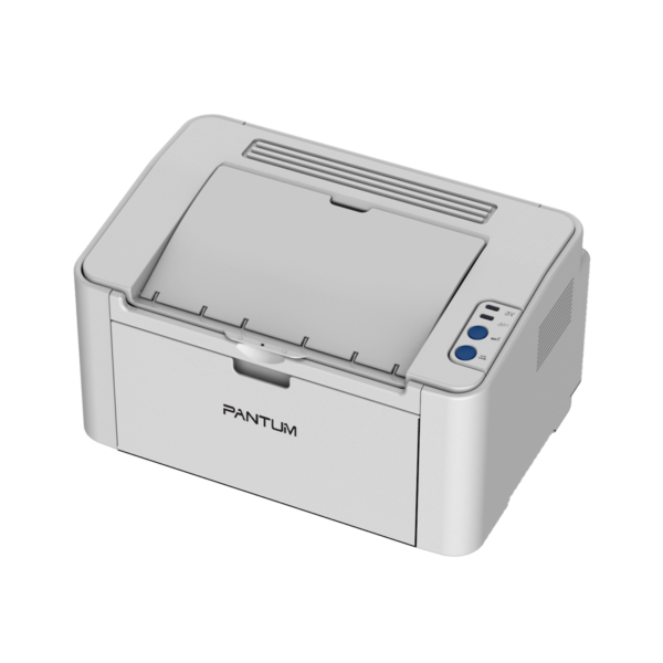 Pantum P2210